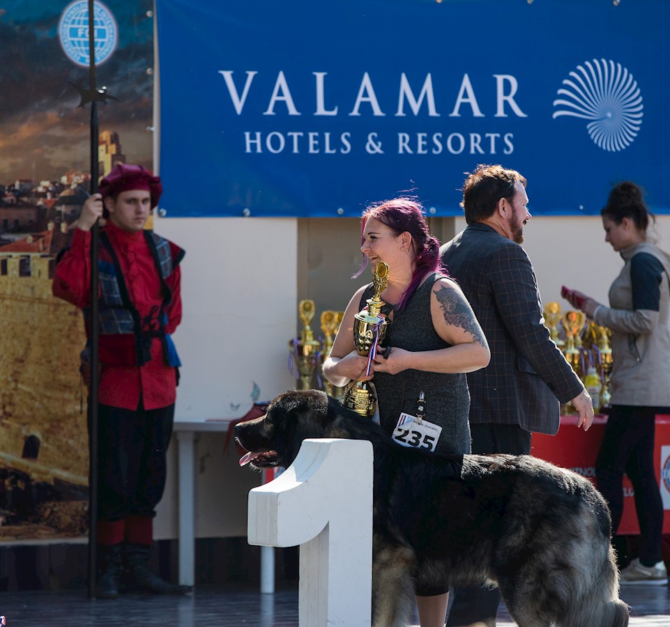 03-valamar-izlozba-pasa.jpg