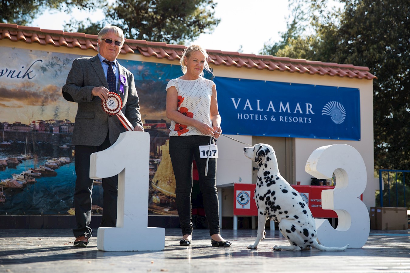 04-valamar-izlozba-pasa.jpg