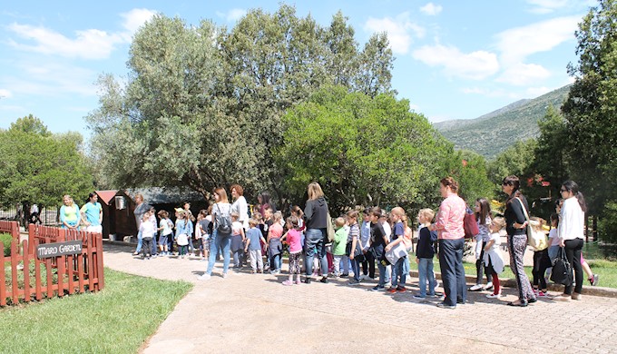 Gruz 26042017 (5).JPG