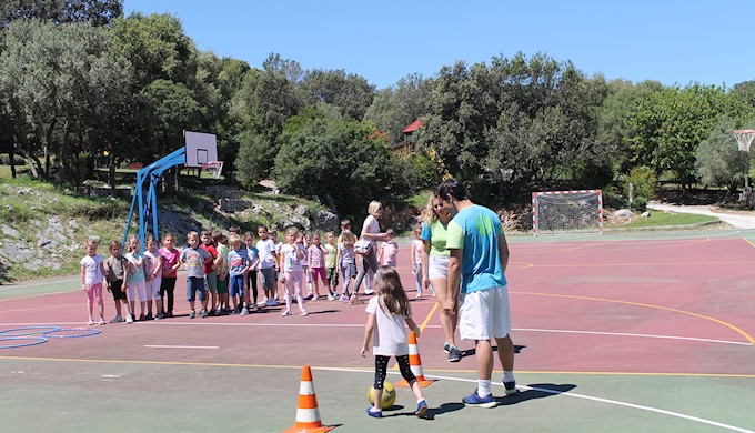 Pcelica (Mokosica) 29052017 (2).JPG