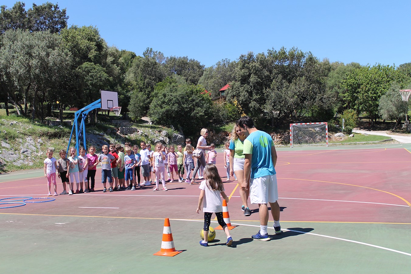 Pcelica (Mokosica) 29052017 (2).JPG