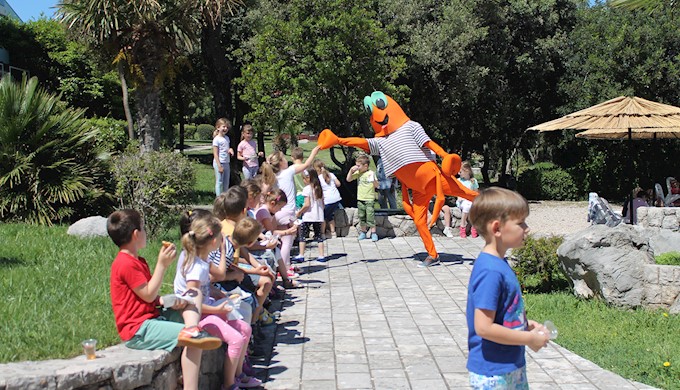 Pcelica (Mokosica) 29052017 (1).JPG