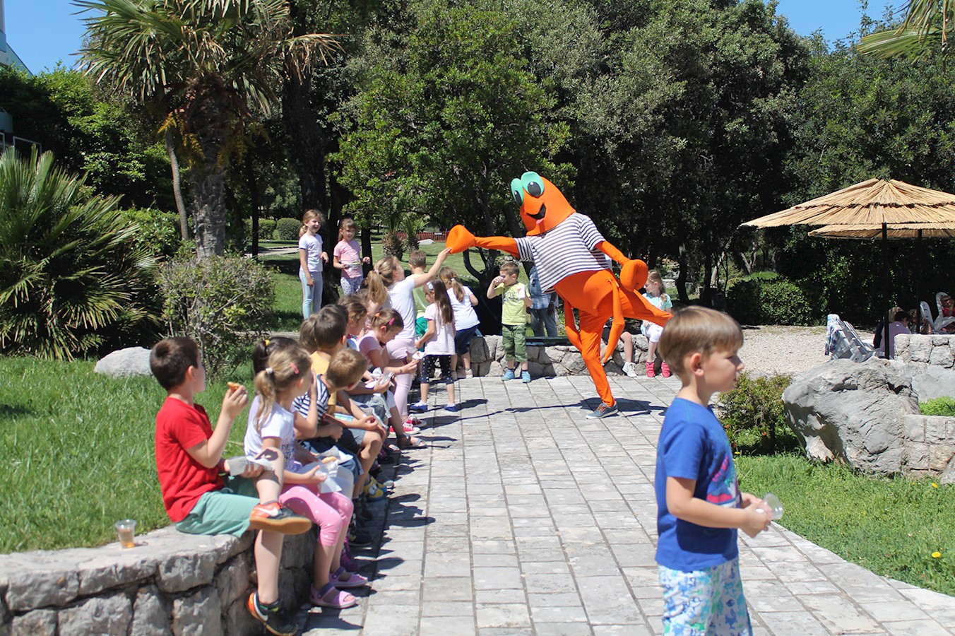 Pcelica (Mokosica) 29052017 (1).JPG