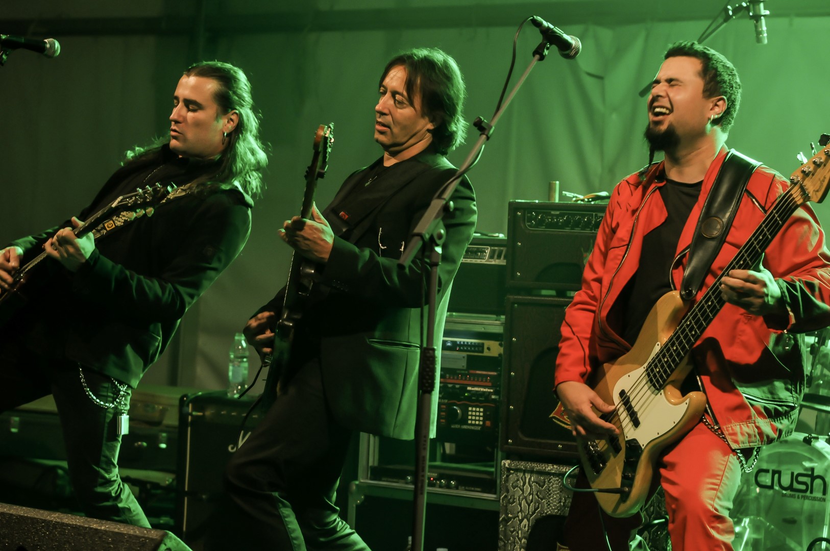 Divlje Jagode (4).jpg