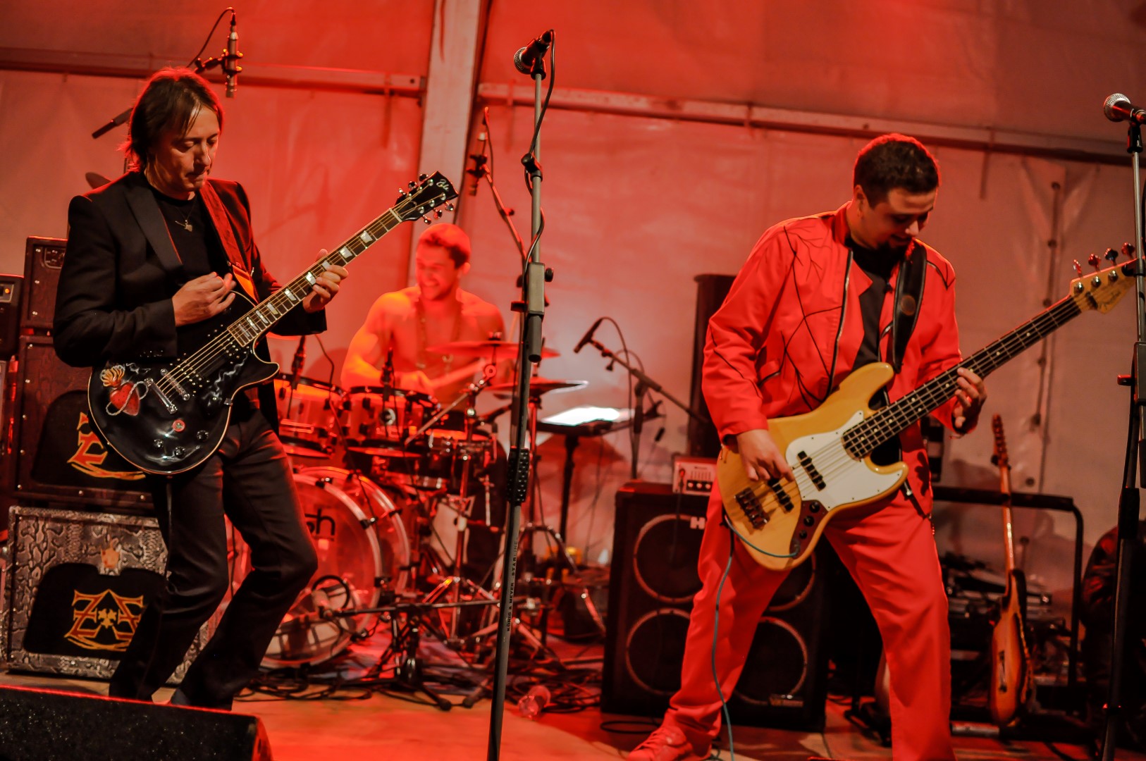 Divlje Jagode (2).jpg