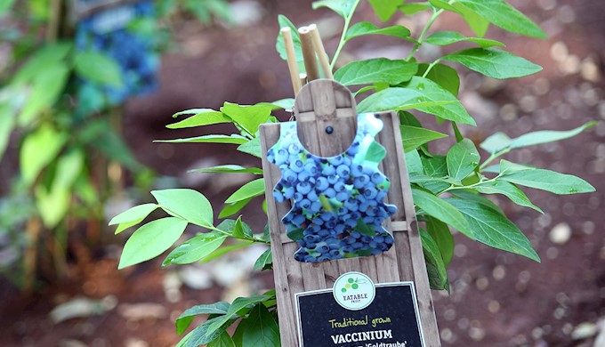 Gredice uz igralište