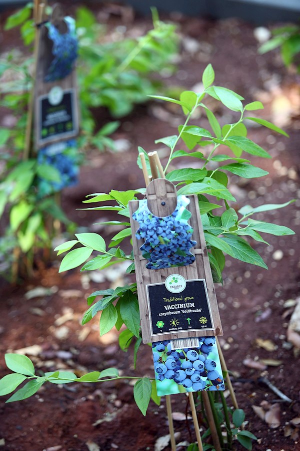 Gredice uz igralište