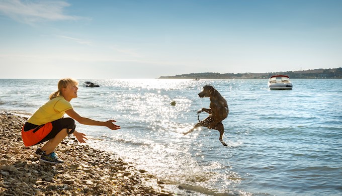Camping Resort Lanterna_Happy Dog beach_1.jpg
