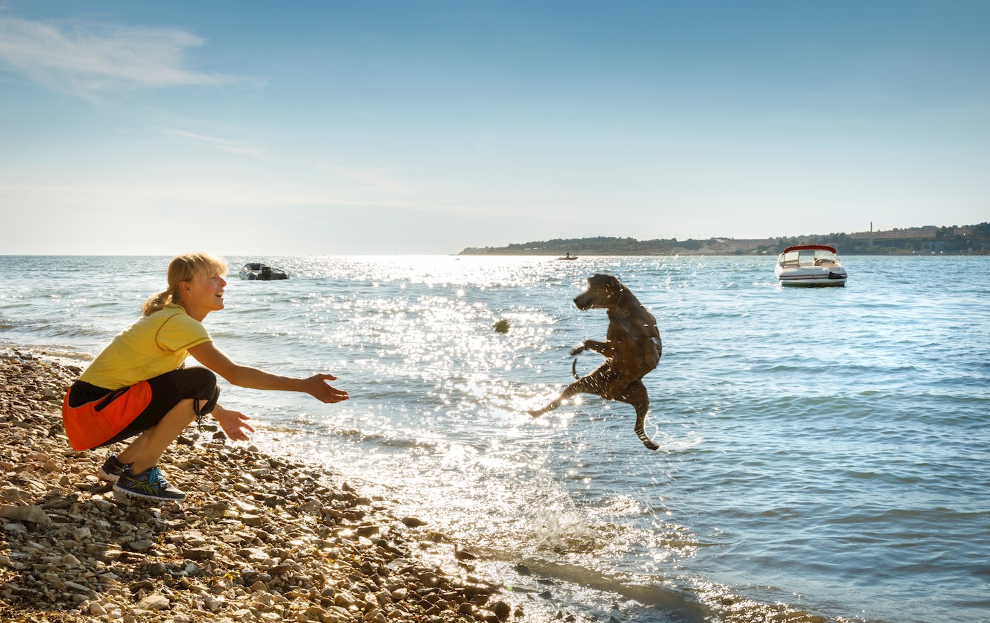 Camping Resort Lanterna_Happy Dog beach_1.jpg