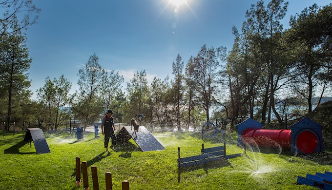 Camping Resort Lanterna_Happy Dog amenities_2.jpg