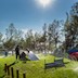 Camping Resort Lanterna_Happy Dog amenities_2.jpg