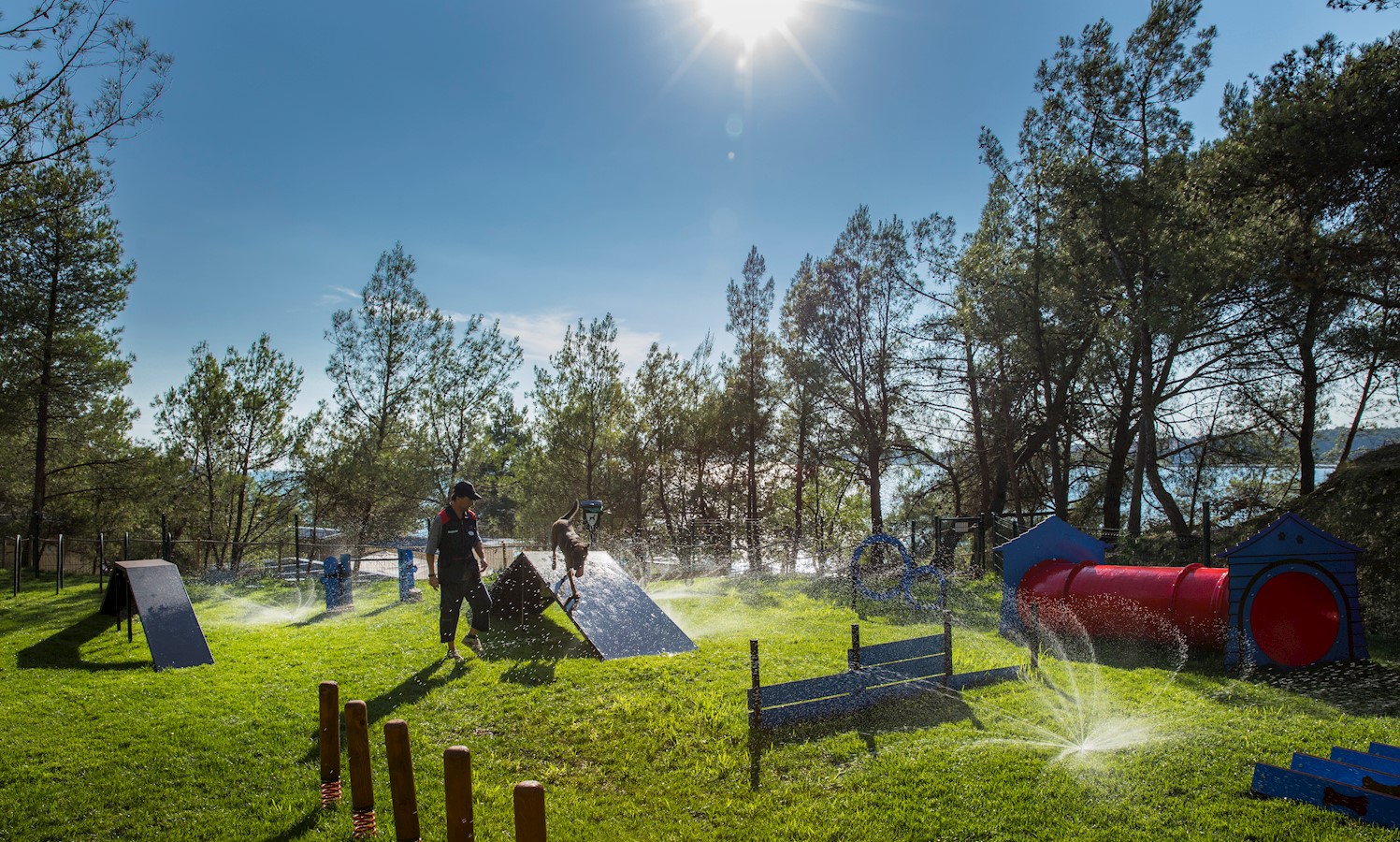 Camping Resort Lanterna_Happy Dog amenities_2.jpg