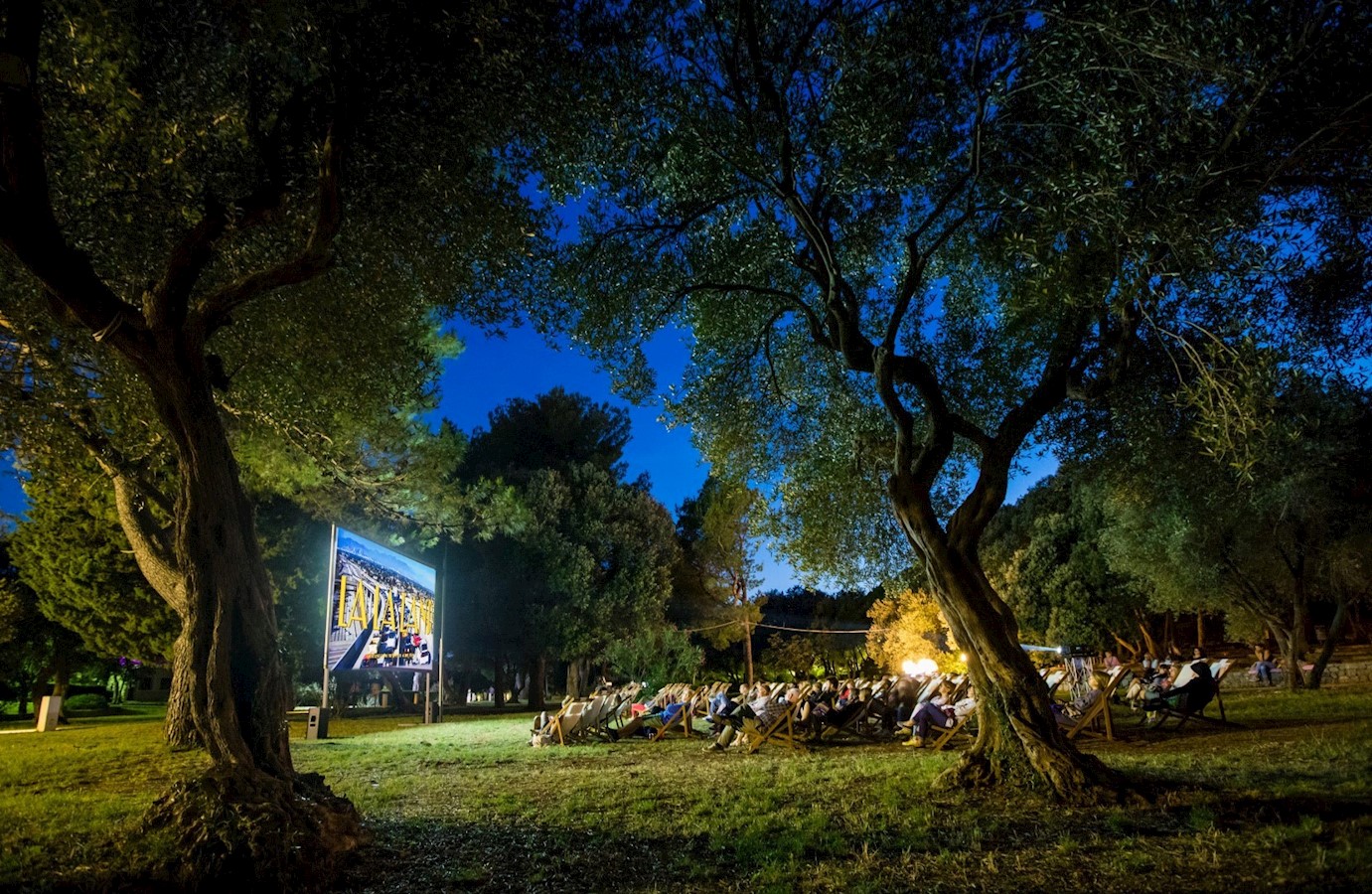 Open Air Cinema u parku Maslinata.jpg