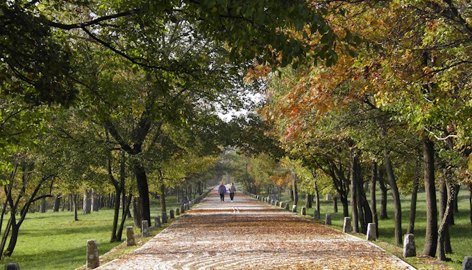 Tanja_dubrova parco_161115 (8).jpg