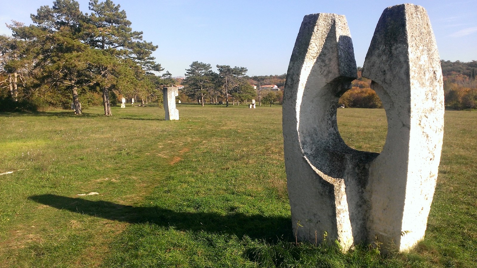WP_20151109_013.jpg