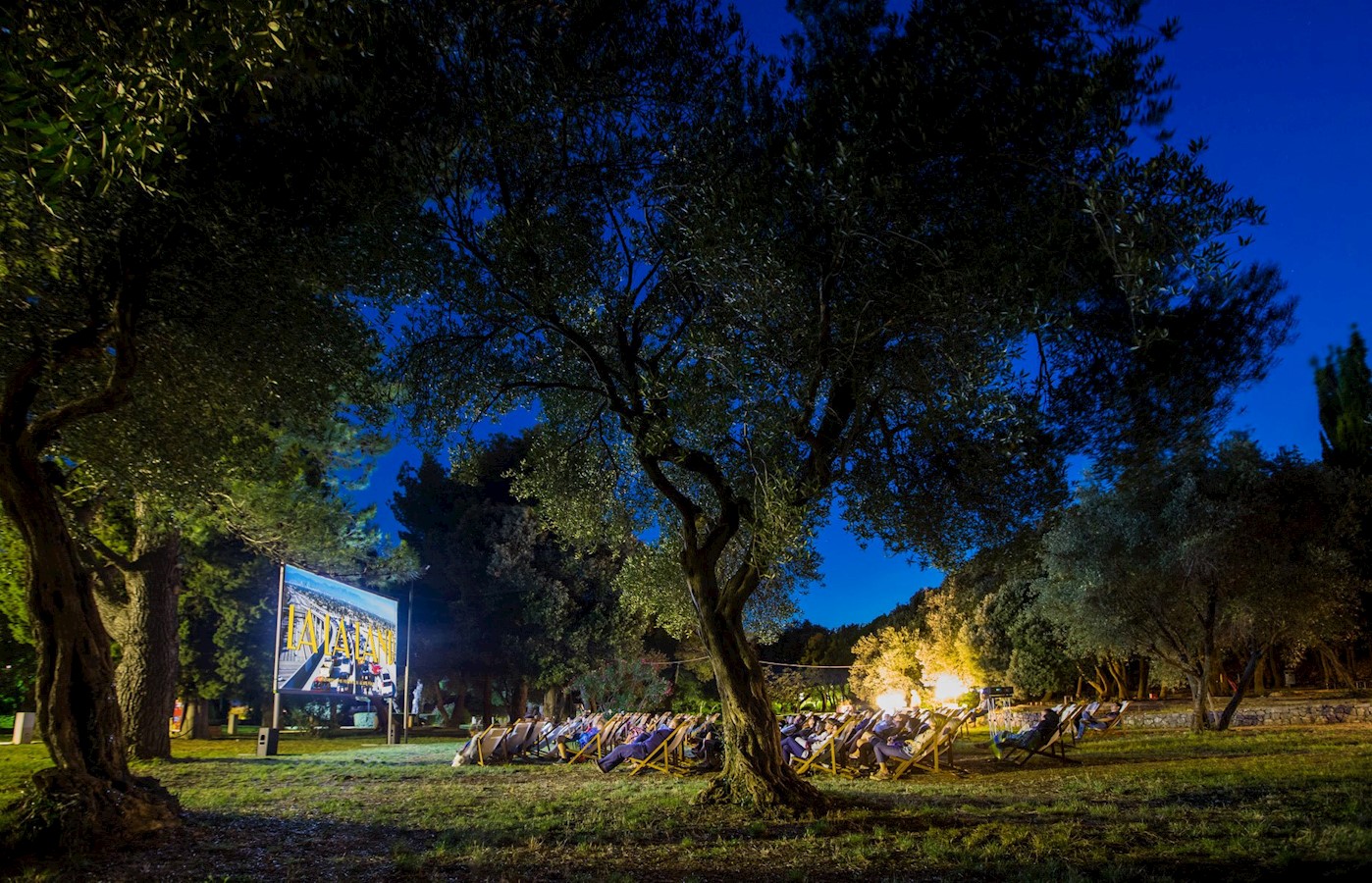Open Air Cinema.jpg