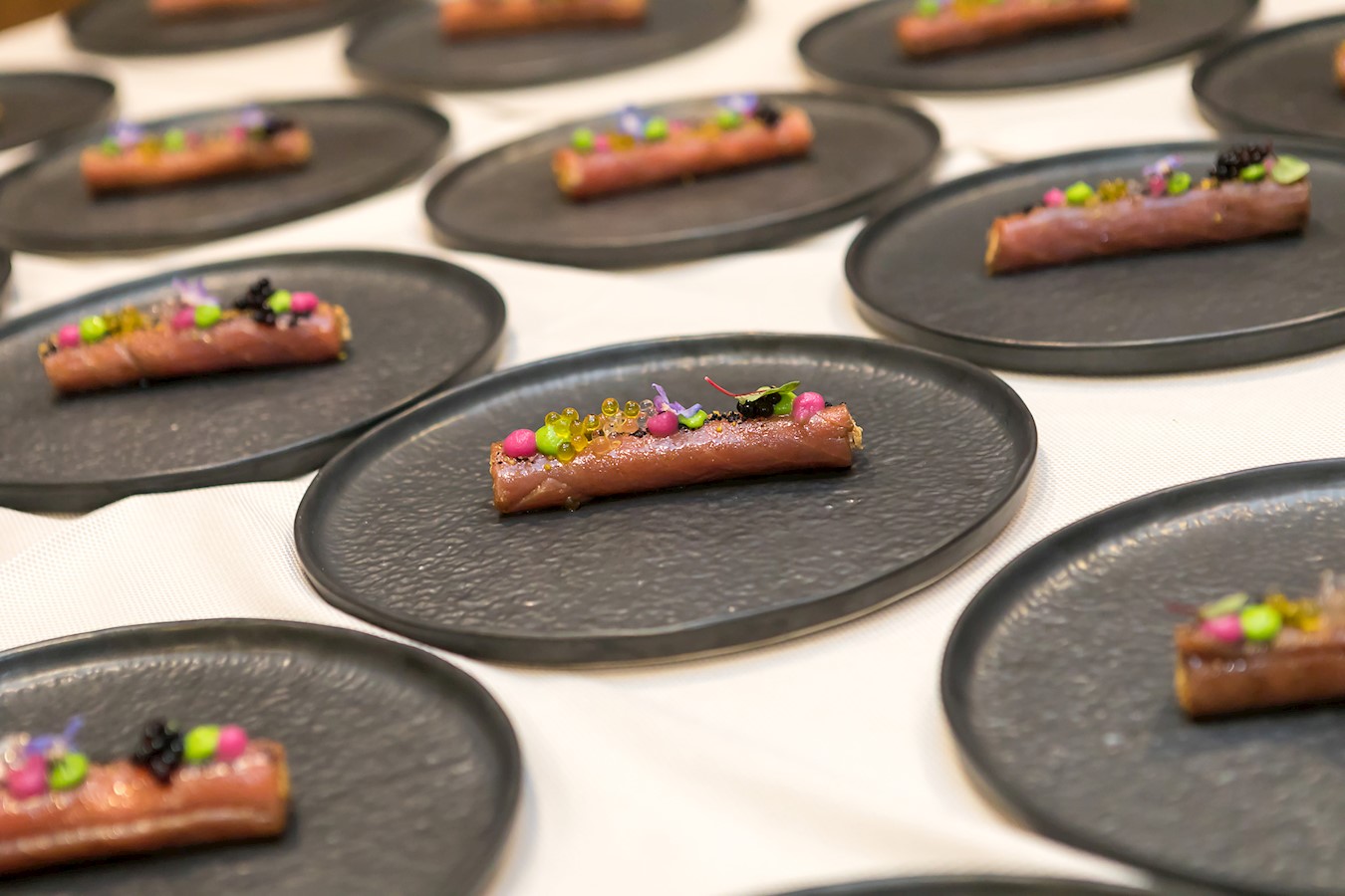 Tunalicious 1_Photo by Manuel Paljuh.jpg