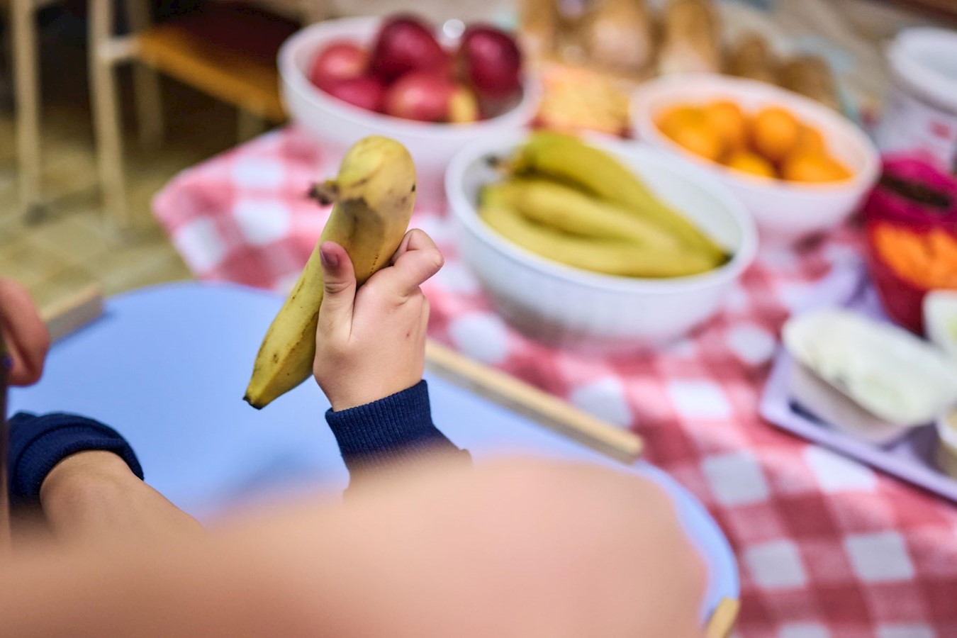 Centar Liče Faraguna 2.jpg