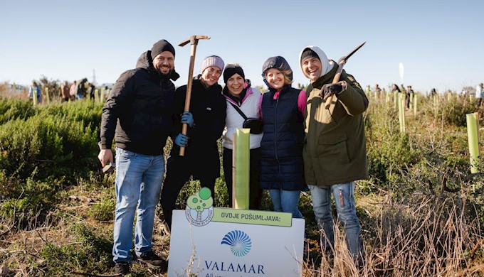 Easy as one, two, tree 4.jpg