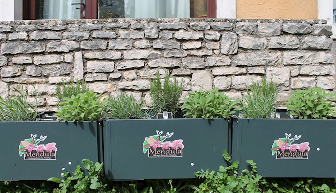 Edukativni projekt o uzgoju začinskog bilja.JPG