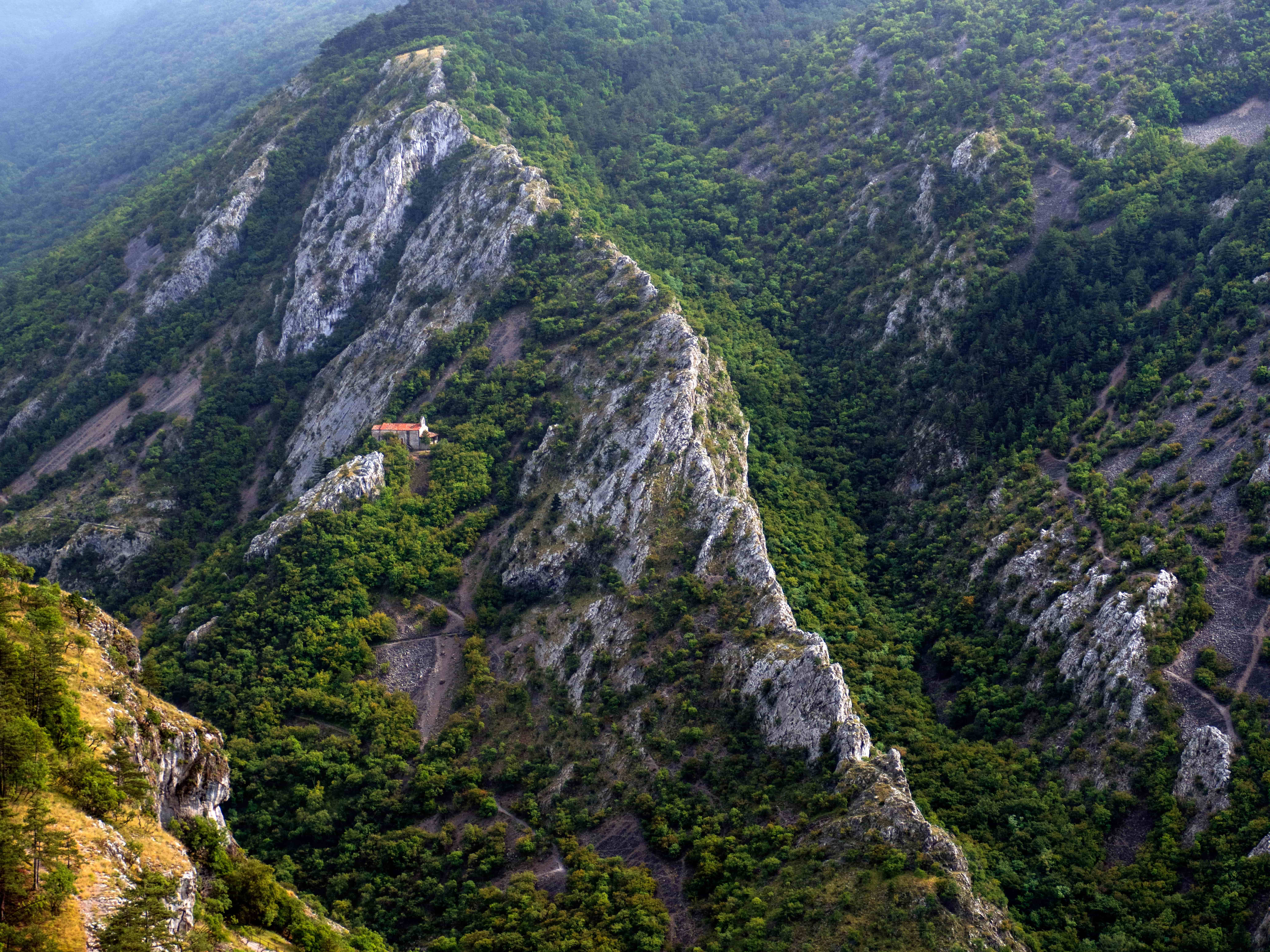 Bojan Bonifačić.jpg