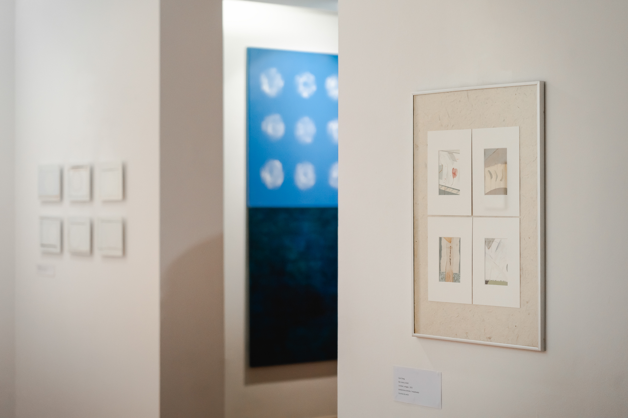 41 Slikarska kolonija Riviera_izložba_1.jpg