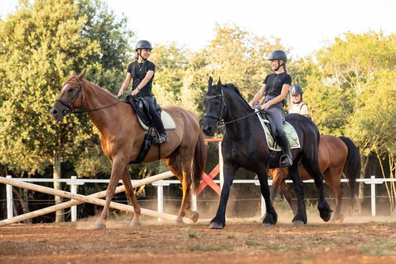 Horsebackriding camp.jpg