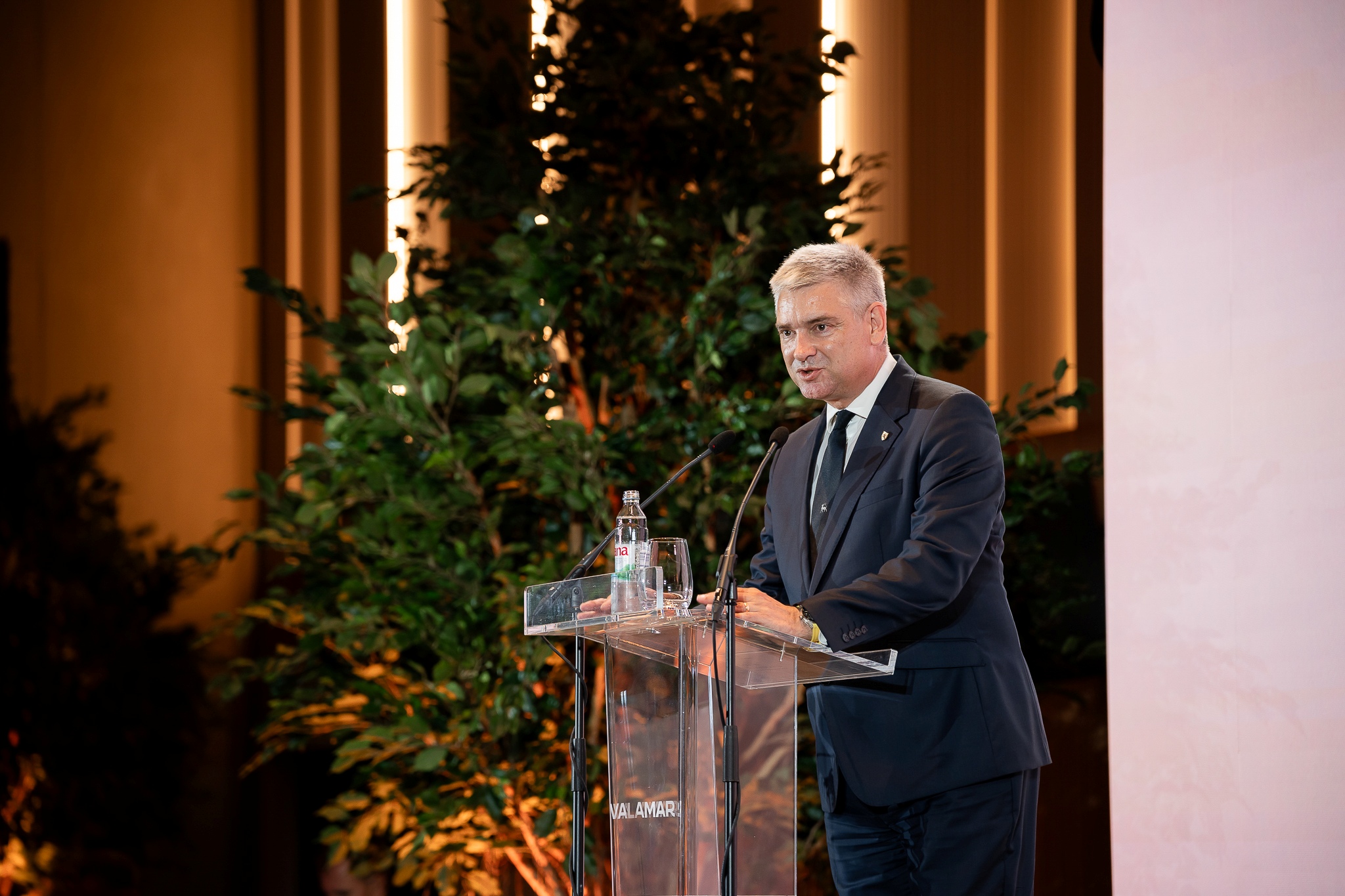 Istarski župan Boris Miletić.jpg