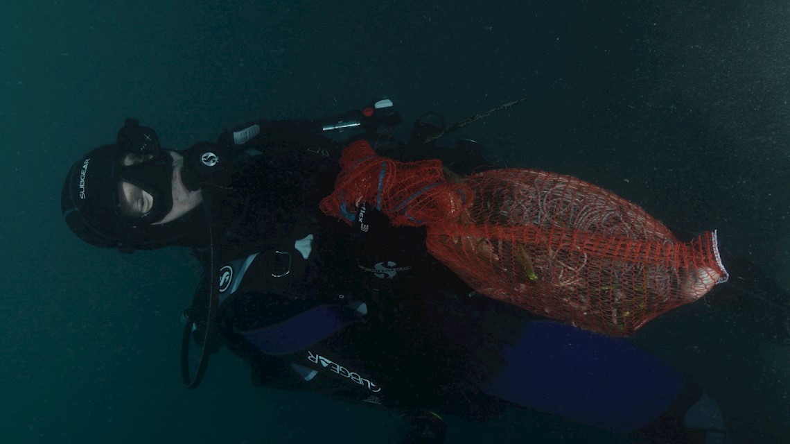 Volimo Jadransko more - Čišćenje podmorja u Dubrovniku