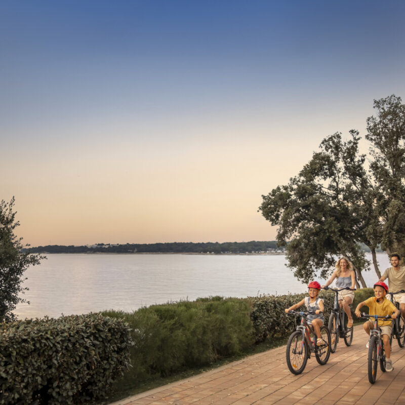 Valamar’s Istra Premium Camping Resort has received the Special Lider invest award