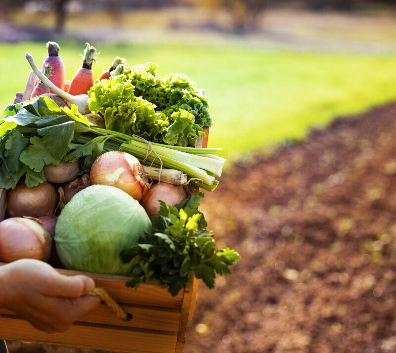 Valfresco Direkt supports family farms from the Kvarner area