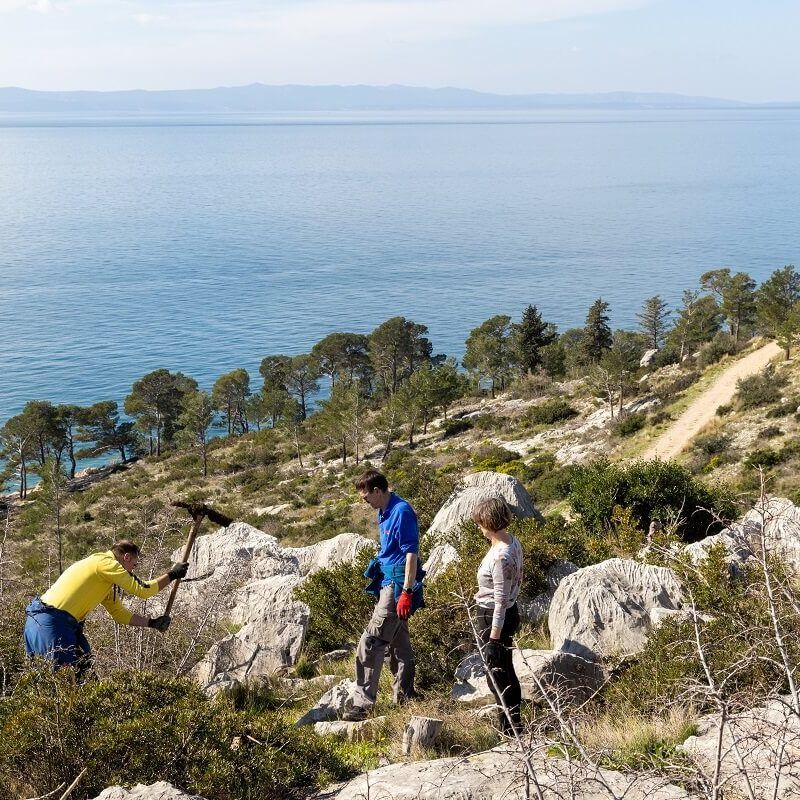 Valamar će u okviru ovogodišnje inicijative „Easy as one, two, tree“ posaditi više od 10.000 stabala