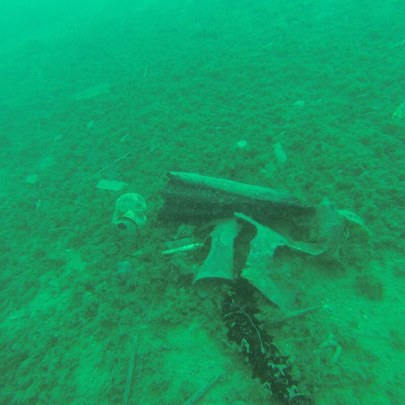 Društvo podvodnih aktivnosti „Rabac“ u sklopu projekta „Volimo Jadransko more“ čistilo podmorje u uvali Tunarica