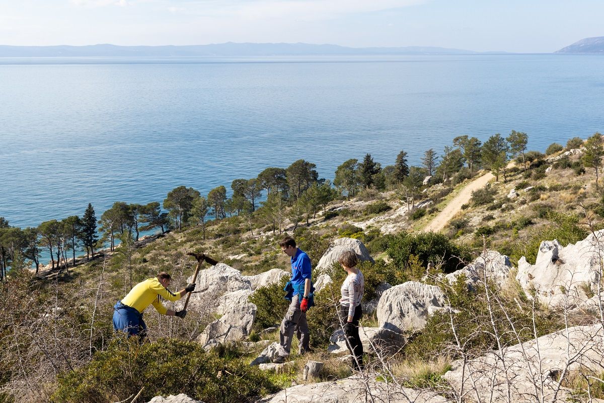 Valamar će u okviru ovogodišnje inicijative „Easy as one, two, tree“ posaditi više od 10.000 stabala