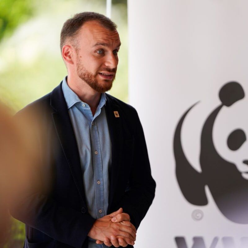 Valamar i WWF Adria zajedno čuvaju Jadransko more: zaštita ugroženih vrsta i suradnja s hrvatskim ribarima