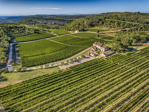 Restoran Spinnaker domaćin humanitarne večere s potpisom Konobe Pelegrini u okviru programa Wine Nights
