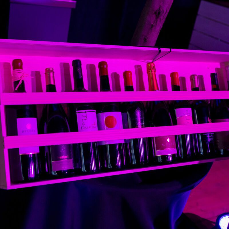 Wine Nights u Poreču: Vrhunska vina, zabava i gourmet doživljaj koji se ne smije propustiti