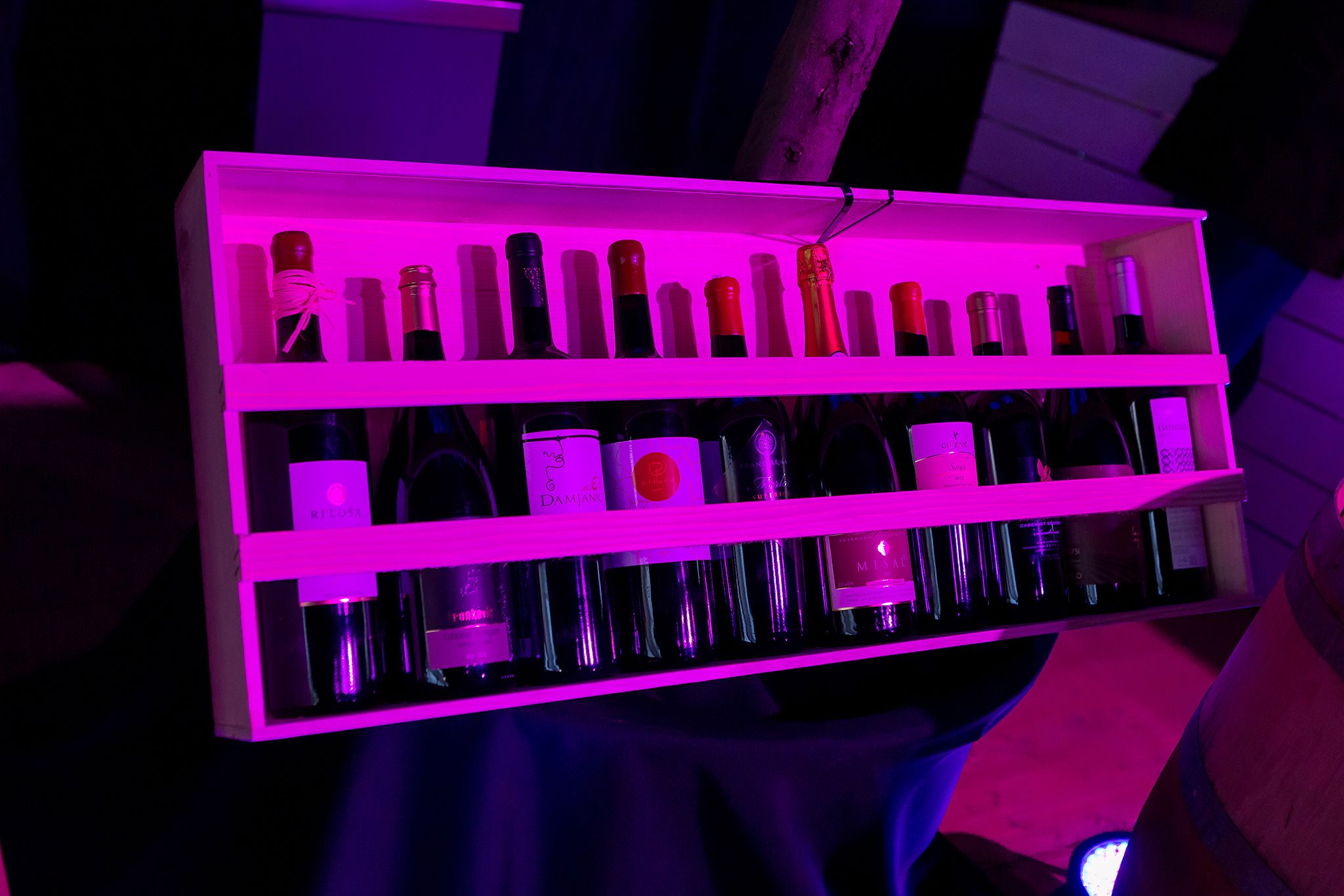 Wine Nights u Poreču: Vrhunska vina, zabava i gourmet doživljaj koji se ne smije propustiti